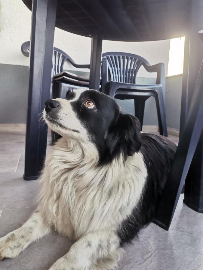 Jelly Apartment Visoko Εξωτερικό φωτογραφία